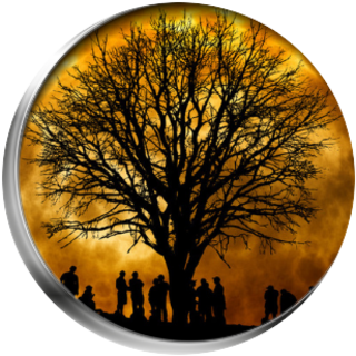 Community & Network icon